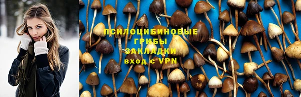 соль ск Остров